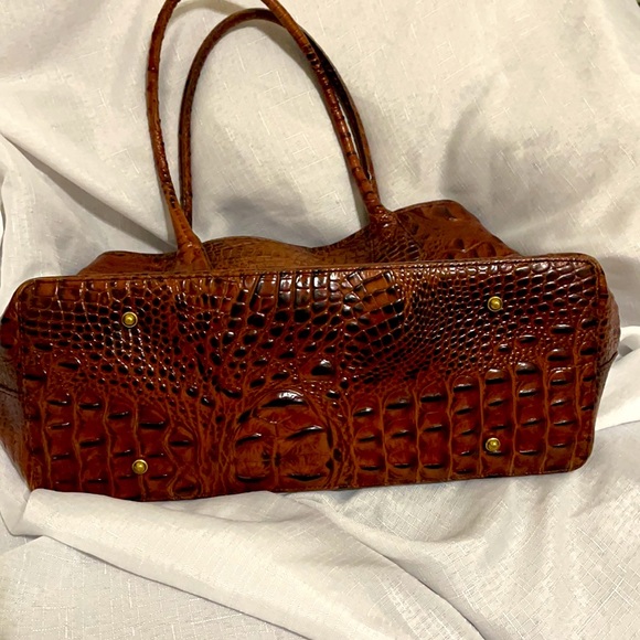Brahmin - Picture 2 of 9